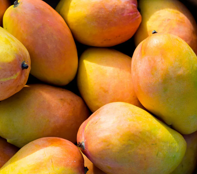Mango 'Edward' fruit