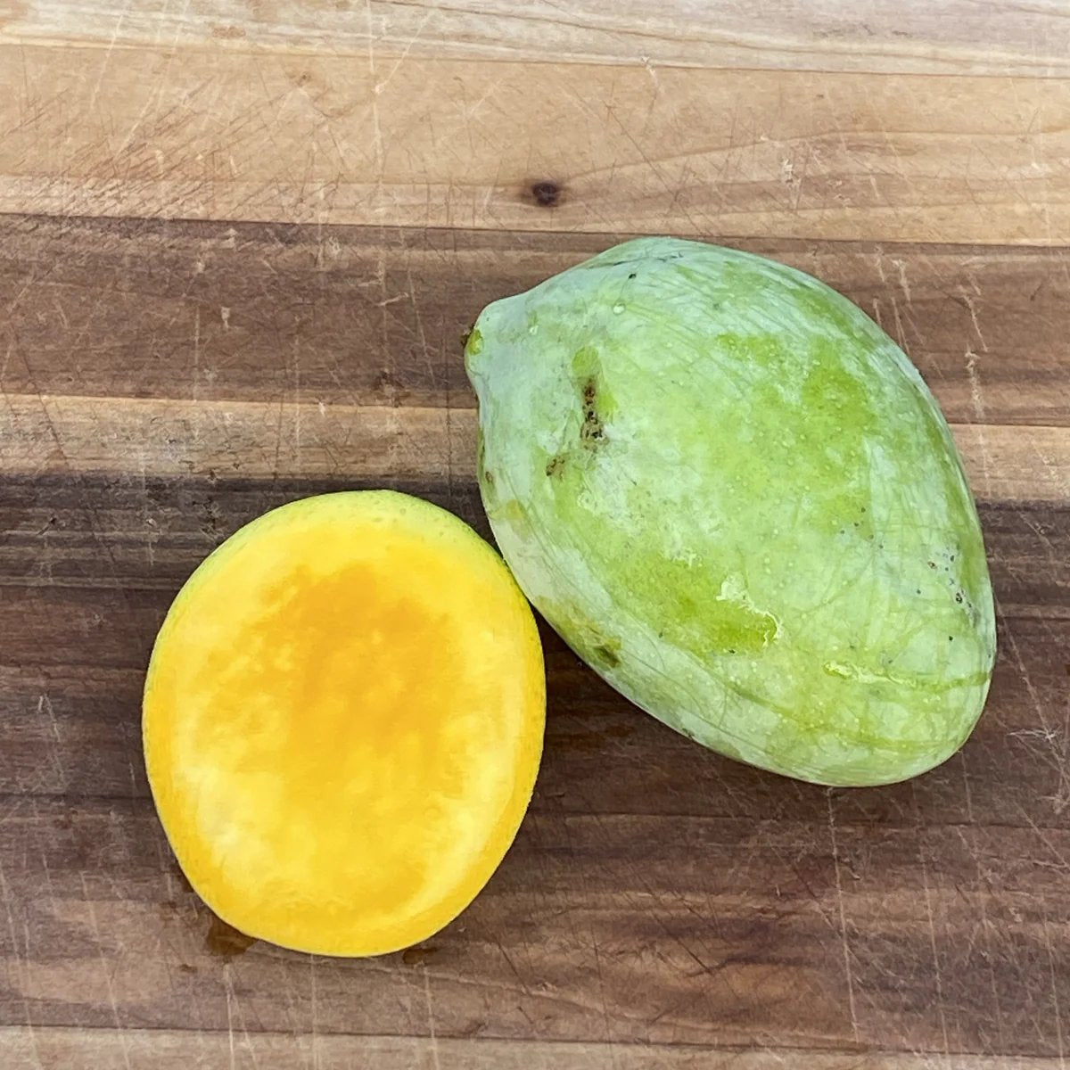 Mango 'Sugarloaf' fruit